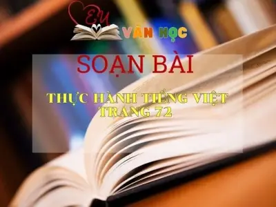 Soạn bài Thực hành tiếng Việt trang 72 - Kết nối tri thức - Ngữ văn lớp 7 tập 1