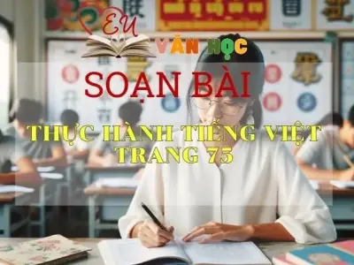 Soạn bài Thực hành tiếng Việt trang 75 - Sách Cánh Diều Lớp 11