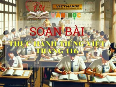 Soạn bài Thực hành tiếng Việt trang 116 - Sách Cánh Diều Lớp 11