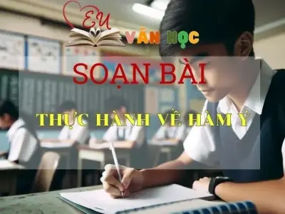 Soạn bài Thực hành về hàm ý - Ngữ Văn Lớp 12