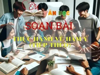 Soạn bài Thực hành về hàm ý (tiếp theo) - Ngữ Văn Lớp 12
