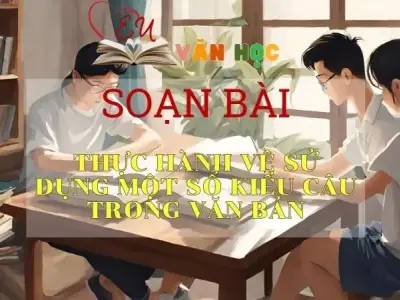 Soạn bài Thực hành về sử dụng một số kiểu câu trong văn bản - Ngữ Văn Lớp 11