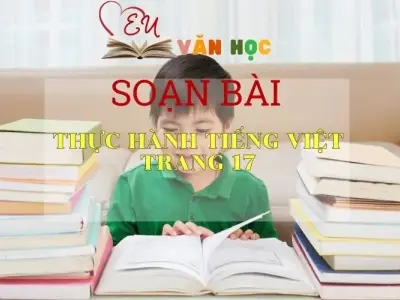 Thực hành tiếng Việt (Trang 17)- Kết nối tri thức - Ngữ văn lớp 7 tập 1