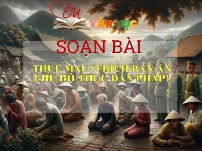 Soạn bài Thuế máu (trích Bản án chế độ thực dân Pháp) SGK Ngữ văn 8