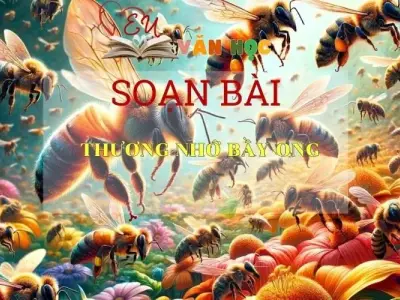 Soạn bài Thương Nhớ Bầy Ong - Sách Chân Trời Sáng Tạo Ngữ Văn 6 