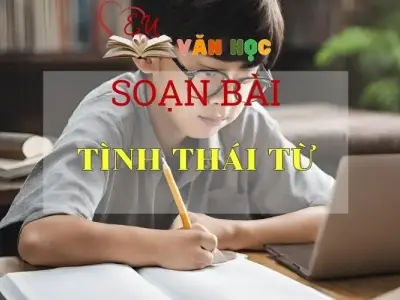  Soạn bài Tình thái từ - Ngữ văn lớp 8