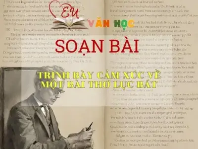 Soạn bài Trình Bày Cảm Xúc Về Một Bài Thơ Lục Bát - Sách Chân Trời Sáng Tạo Ngữ Văn 6