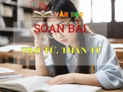 Soạn bài Trợ Từ, Thán Từ - Ngữ văn lớp 8