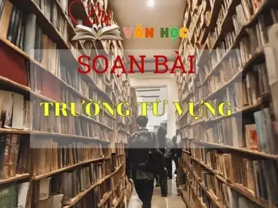 Soạn bài Trường từ vựng - Ngữ văn 8