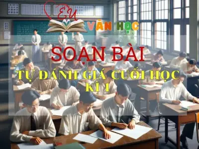 Soạn bài Tự đánh giá cuối học kì 1 - Sách Cánh Diều Lớp 11