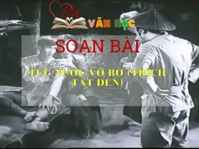 Soạn bài Tức nước vỡ bờ - Ngữ văn 8