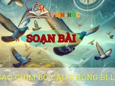 Soạn bài Vì sao chim bồ câu không bị lạc đường? - Ngữ văn 8 tập 1 Cánh diều