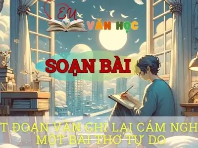 Soạn bài Viết một đoạn văn ghi lại cảm nghĩ về một bài thơ tự do - ngữ văn 8 tập 1- sách Chân trời sáng tạo