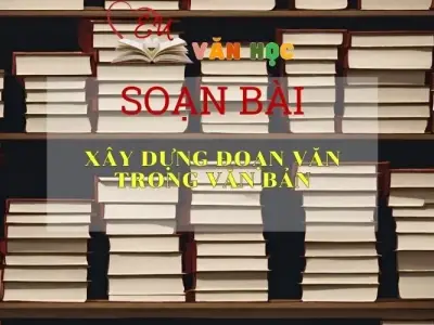 Soạn bài Xây dựng đoạn văn trong văn bản - Ngữ văn 8