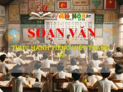 Soạn bài Thực hành tiếng Việt trang 113 - Ngữ văn 8 Kết nối tri thức