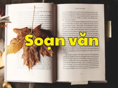 Soạn bài Thách thức đầu tiên: Đọc để trưởng thành - Ngữ văn 9 tập 2 - Kết nối tri thức