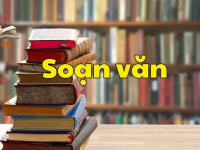 Soạn bài Thực hành tiếng Việt trang 100 - Ngữ văn 9 tập 2 - Kết nối tri thức