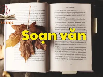 Soạn bài Củng cố, mở rộng trang 58- Ngữ văn 12 tập 2 - Kết nối tri thức