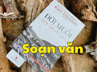 Soạn bài Đời muối - Ngữ văn 12 tập 2 - Kết nối tri thức