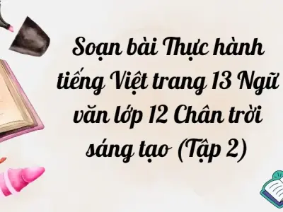 Soạn bài Thực hành tiếng Việt trang 13 Ngữ văn lớp 12 Chân trời sáng tạo (Tập 2)