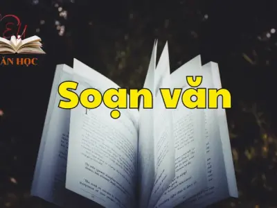 Soạn bài Thực hành tiếng Việt trang 114 - Ngữ văn 12 tập 2 - Kết nối tri thức