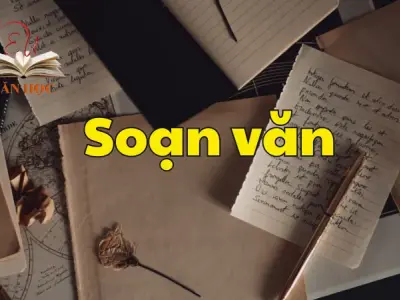 Soạn bài Thực hành tiếng Việt trang 114 - Ngữ văn 12 tập 1 - Kết nối tri thức