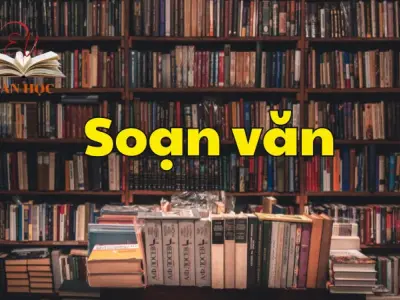 Soạn bài Thực hành tiếng Việt trang 78 - Ngữ văn 12 tập 2 - Kết nối tri thức