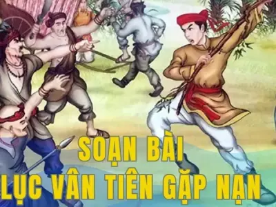 Soạn bài Tự đánh giá: Lục Vân Tiên gặp nạn - Ngữ văn 9 - Cánh diều