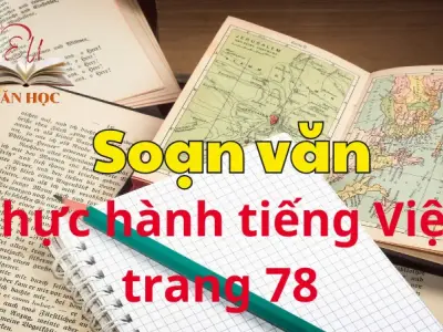 Soạn bài Thực hành tiếng Việt trang 78 - Ngữ văn 12 tập 1 - Kết nối tri thức