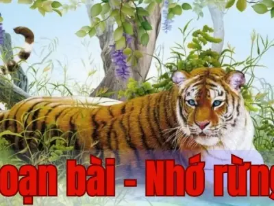 Soạn bài Nhớ rừng - Ngữ văn 9 - Chân trời sáng tạo