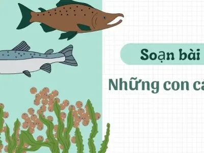 Soạn bài Những con cá cờ - Ngữ văn 9 - Cánh diều