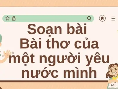 Soạn bài Bài thơ của một người yêu nước mình - Cánh diều 12