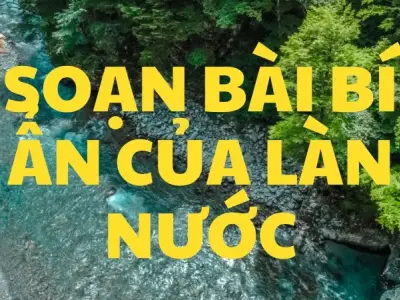 Soạn bài Bí ẩn của làn nước - Kết nối tri thức Lớp 9