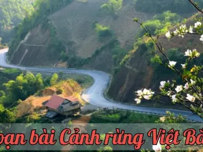 Soạn bài Cảnh rừng Việt Bắc - Ngữ văn lớp 12 Chân trời sáng tạo (Tập 2)