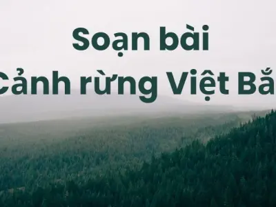 Soạn bài Cảnh rừng Việt Bắc - Cánh diều 12