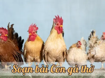 Soạn bài Con gà thờ - Ngữ văn lớp 12 chân trời sáng tạo (Tập 1)