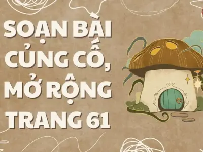 Soạn bài Củng cố, mở rộng trang 61 - Kết nối tri thức Lớp 9