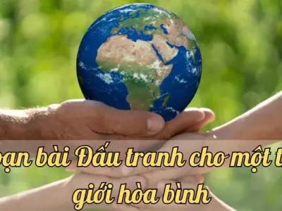 Soạn bài Đấu tranh cho một thế giới hòa bình - Ngữ văn lớp 9 Chân trời sáng tạo (Tập 2)