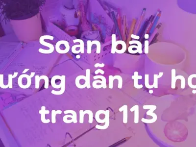 Soạn bài Hướng dẫn tự học trang 113 - Cánh diều 12