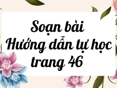 Soạn bài Hướng dẫn tự học trang 46 - Cánh diều 12