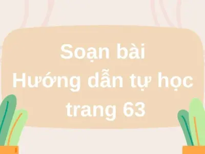 Soạn bài Hướng dẫn tự học trang 63 - Cánh diều 12