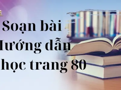 Soạn bài Hướng dẫn tự học trang 80 - Cánh diều 12