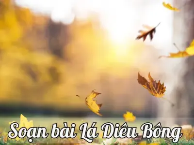 Soạn bài Lá Diêu Bông - Ngữ văn lớp 12 chân trời sáng tạo (Tập 1)