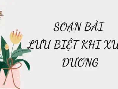 Soạn bài Lưu biệt khi xuất dương - Cánh diều 12
