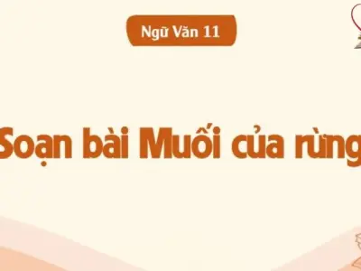 Soạn bài Muối của rừng - Cánh diều 12