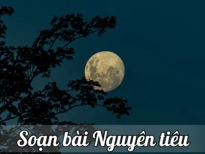 Soạn bài Nguyên tiêu - Ngữ văn lớp 12 Chân trời sáng tạo (Tập 2)