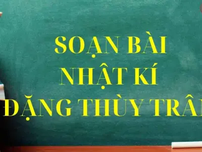 Soạn bài Nhật kí Đặng Thùy Trâm - Cánh diều 12