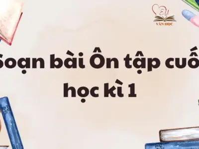 Soạn bài Ôn tập cuối học kì 1 - Lớp 12 chân trời sáng tạo