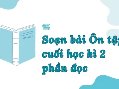 Soạn bài Ôn tập cuối học kì 2 phần đọc - Ngữ văn lớp 9 Chân trời sáng tạo