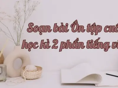 Soạn bài Ôn tập cuối học kì 2 phần tiếng việt - Ngữ văn lớp 9 Chân trời sáng tạo